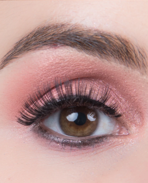 Lash Starter Kit 101