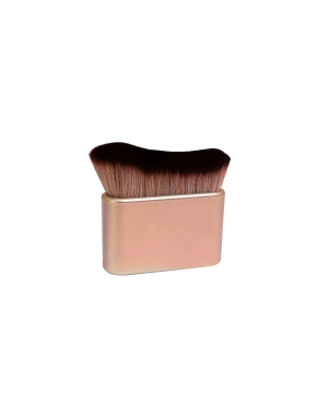 Body Brush