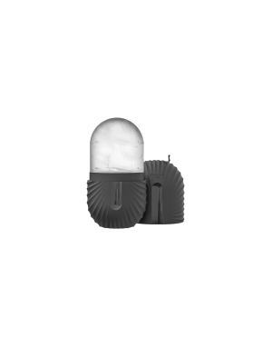 Facial Ice Roller