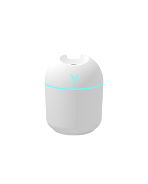 Portable Mini Humidifier